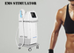 Body 4 Handles Ems Slimming Machine Rohs Approved