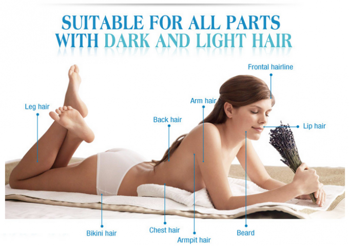 Protable White Hair Removal and Skin Rejuvenation Beauty Machine/Two Handpieces