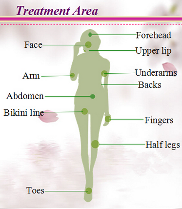 Multifunction Rejuvenation Diode Laser Hair Removal Machine Adjustable Fluence