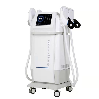 Pulsed Electromagnetic Field Therapy 150hz Ems Fat Burning Machine 5000w
