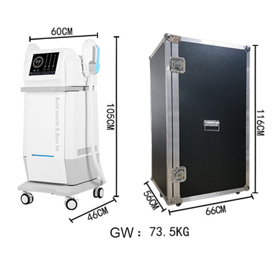 CE Passed 13 Tesla Lasertell Ems Slimming Machine