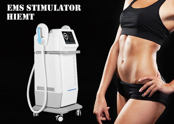 Weight Loss Fat Burning Ems Body Slimming Device Rf