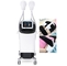 Weight Training Multifunction Beauty Machine Non Invasive Surgical Liposuction EMS Culpting