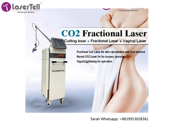 10.4&quot; Lcd Salon Co2 Fractional Laser Machine Scar Acne Removal