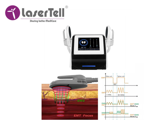 2 Handles Ems Burn Fat Machine Non Invasive Loss Weight Shape Body